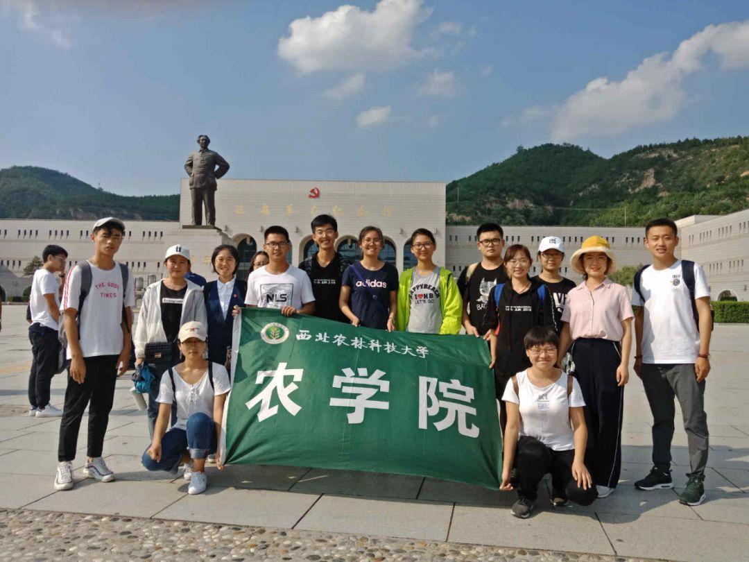 春节前后成都将推出系列城市文化活动 让市民过巴蜀风味中国年